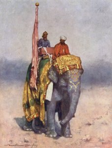 En elefant fra Rajputanas sandede affald af Mortimer Ludington Menpes